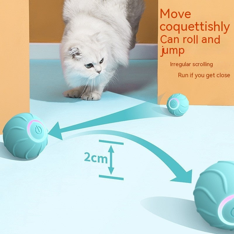 USB Powered Self-Bouncing Ball - Tease and Delight Your Kitty