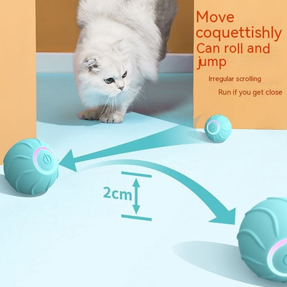 USB Powered Self-Bouncing Ball - Tease and Delight Your Kitty