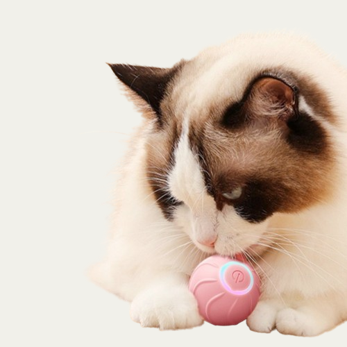 USB Powered Self-Bouncing Ball - Tease and Delight Your Kitty