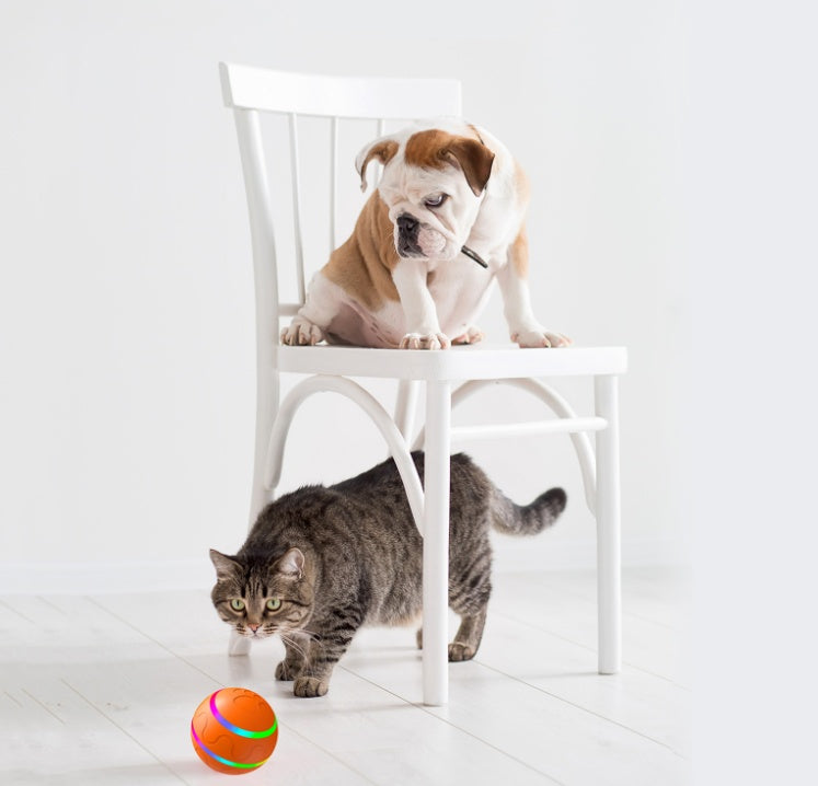 Wicked Ball - Interactive USB Cat Toy for Endless Fun