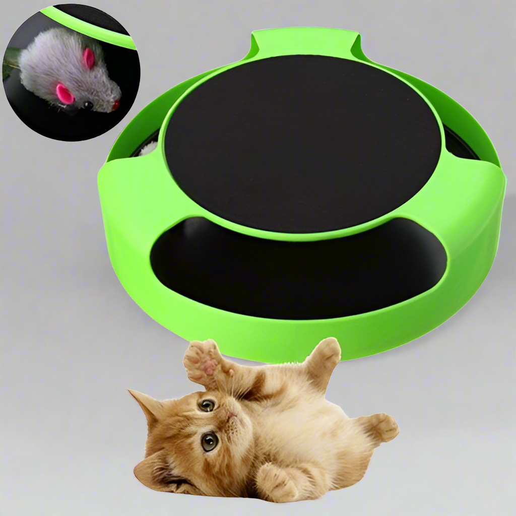 Funny Cat Toy - Automatic and Interactive for Endless Entertainment