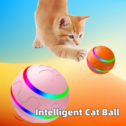 Wicked Ball - Interactive USB Cat Toy for Endless Fun