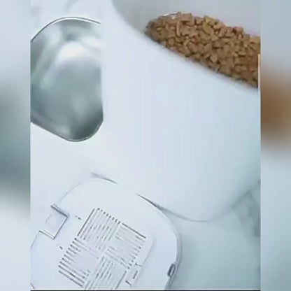 Food Dispenser - Automatic Feeder for Your Pet